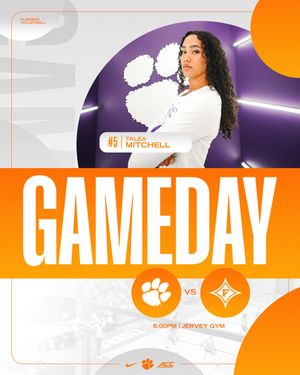 Image post by @clemsonvb on Instagram