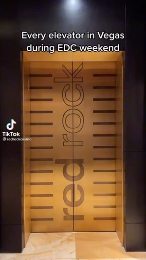 Video post by @stationcasinos on Instagram