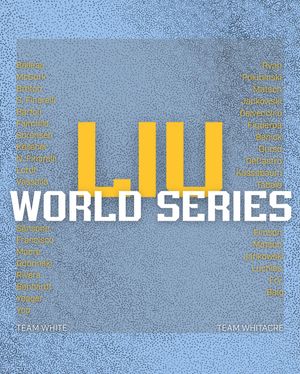 Image post by @liubaseball on Instagram