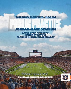Image post by @auburnfootball on Instagram