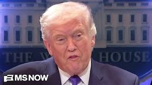 Video post by @msnbc on YouTube