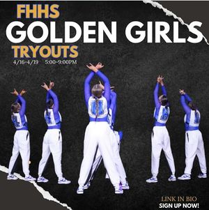 Image post by @fhjvgoldengirls on Instagram