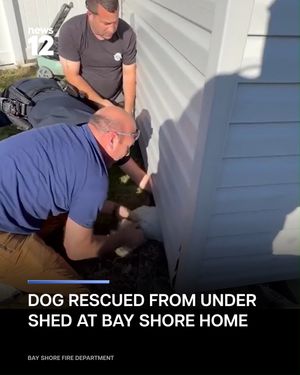 Image post by @news12li on Instagram