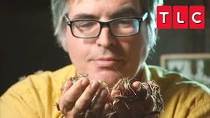 Video post by @tlc on YouTube