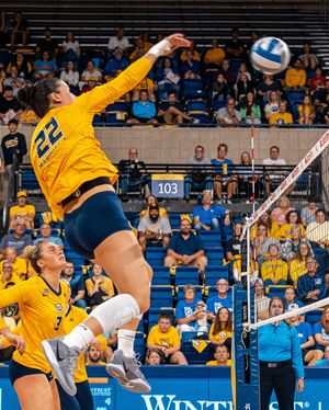 Image post by @marquettevb on Instagram