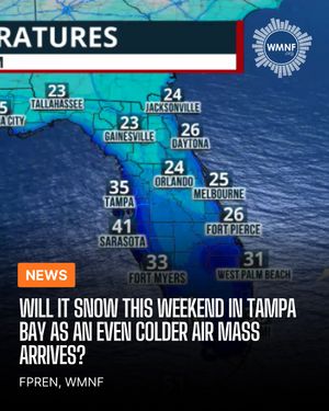 Image post by @wmnf885 on Instagram