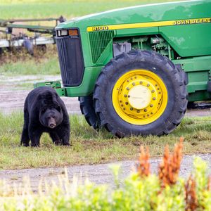 Image post by @johndeere on Instagram