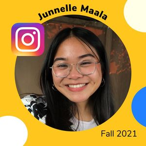Image post by @csulbcomm on Instagram