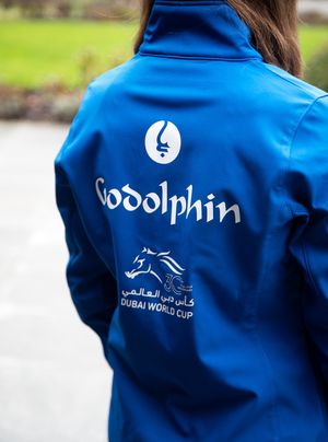Image post by @godolphin on Instagram