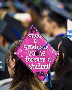 Image post by @fgcu on Instagram