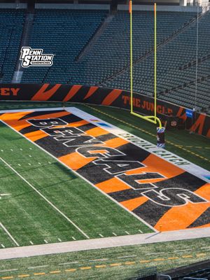 Image post by @bengals on Instagram