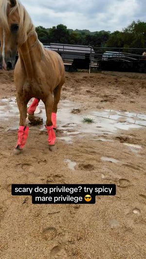 Video post by @Rodeo Girlies Club on Facebook