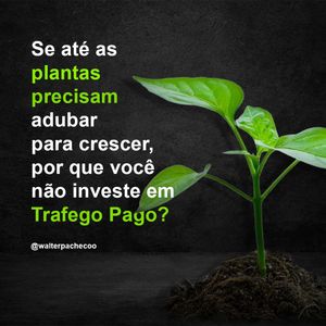 Image post by @walterpachecoo on Instagram