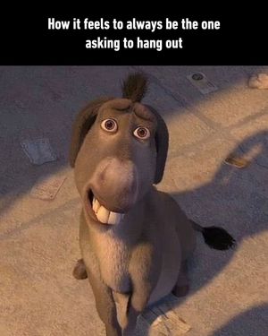 Image post by @9gag on Instagram