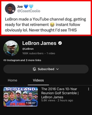 Video post by @whistle on TikTok