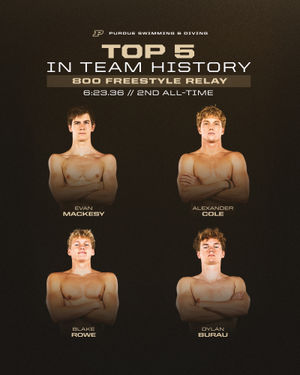 Image post by @purduemswimdive on Instagram