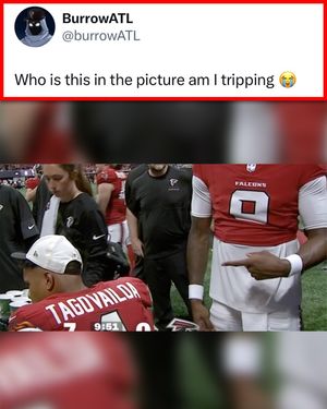 Video post by @whistle on TikTok