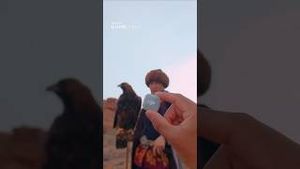 Video post by @dji on YouTube