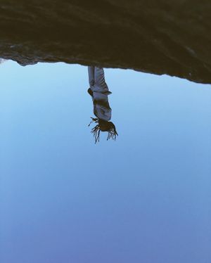 Image post by @aundre on Instagram