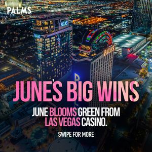 Image post by @palms on Instagram