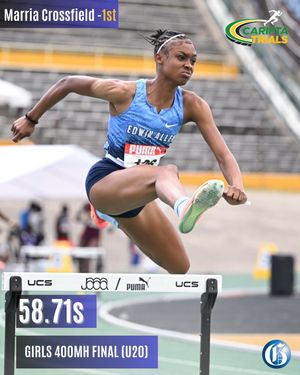 Image post by @jamaicagleaner on Instagram