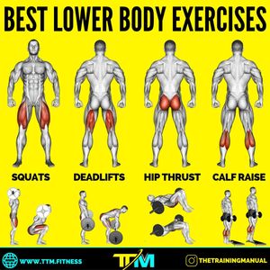 Image post by @thetrainingmanual on Instagram