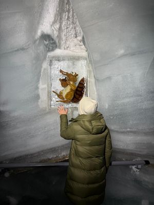 Image post by @jungfraujochtopofeurope on Instagram