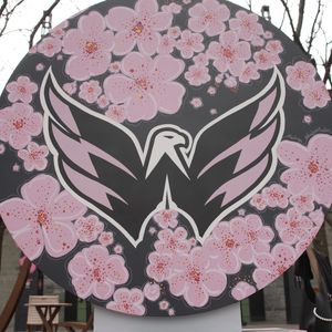 Video post by @Capitals on Facebook