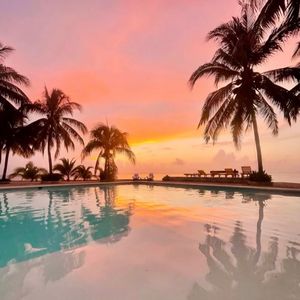 Image post by @phillwebster on Instagram