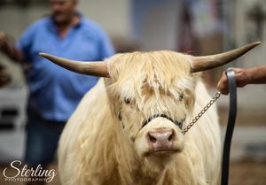 Image post by @michiganstatefair on Instagram