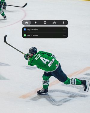 Image post by @fl_everblades on Instagram