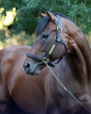 Image post by @coolmoreamerica on Instagram