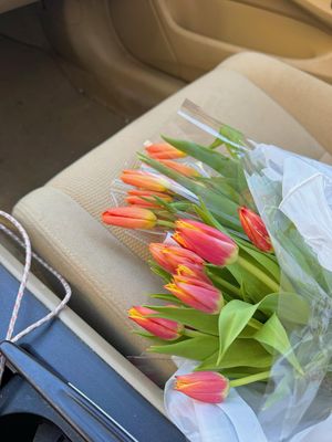 Image post by @sydneyhosick on Instagram