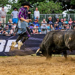 Image post by @ultimatebullfighters on Instagram