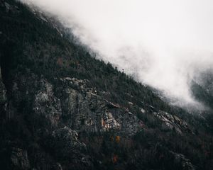 Image post by @z.clik on Instagram