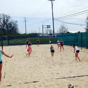 Image post by @wsuvball on Instagram