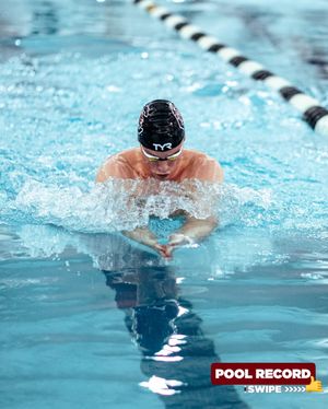 Image post by @gamecockswmdive on Instagram