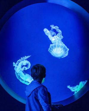 Image post by @seaworldsandiego on Instagram