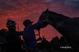 Image post by @fanduel_racing on Instagram