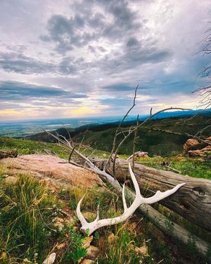 Image post by @chrislholder on Instagram