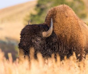 Image post by @nationalparkservice on Instagram