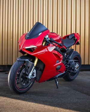 Image post by @panigalers on Instagram