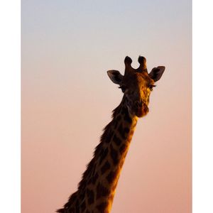 Image post by @lukefchavez on Instagram