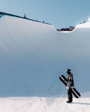 Image post by @shaunwhite on Instagram