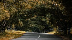 Image post by @renjith_mr on Instagram