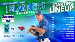 Image post by @islandersbsb on Instagram