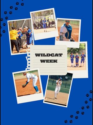Image post by @jwusoftball on Instagram