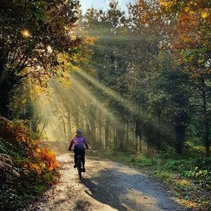 Image post by @vitusbikes on Instagram