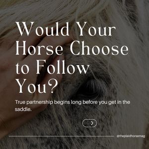 Image post by @theplaidhorsemag on Instagram
