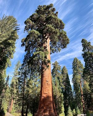 Image post by @nationalparkscollective on Instagram